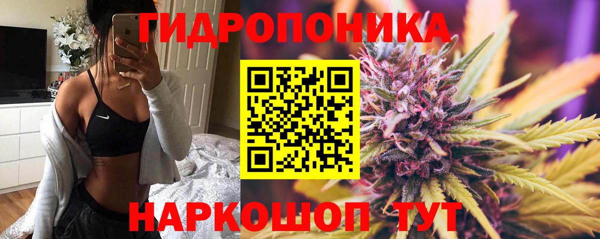 Каннабис ГИДРОПОН Богданович